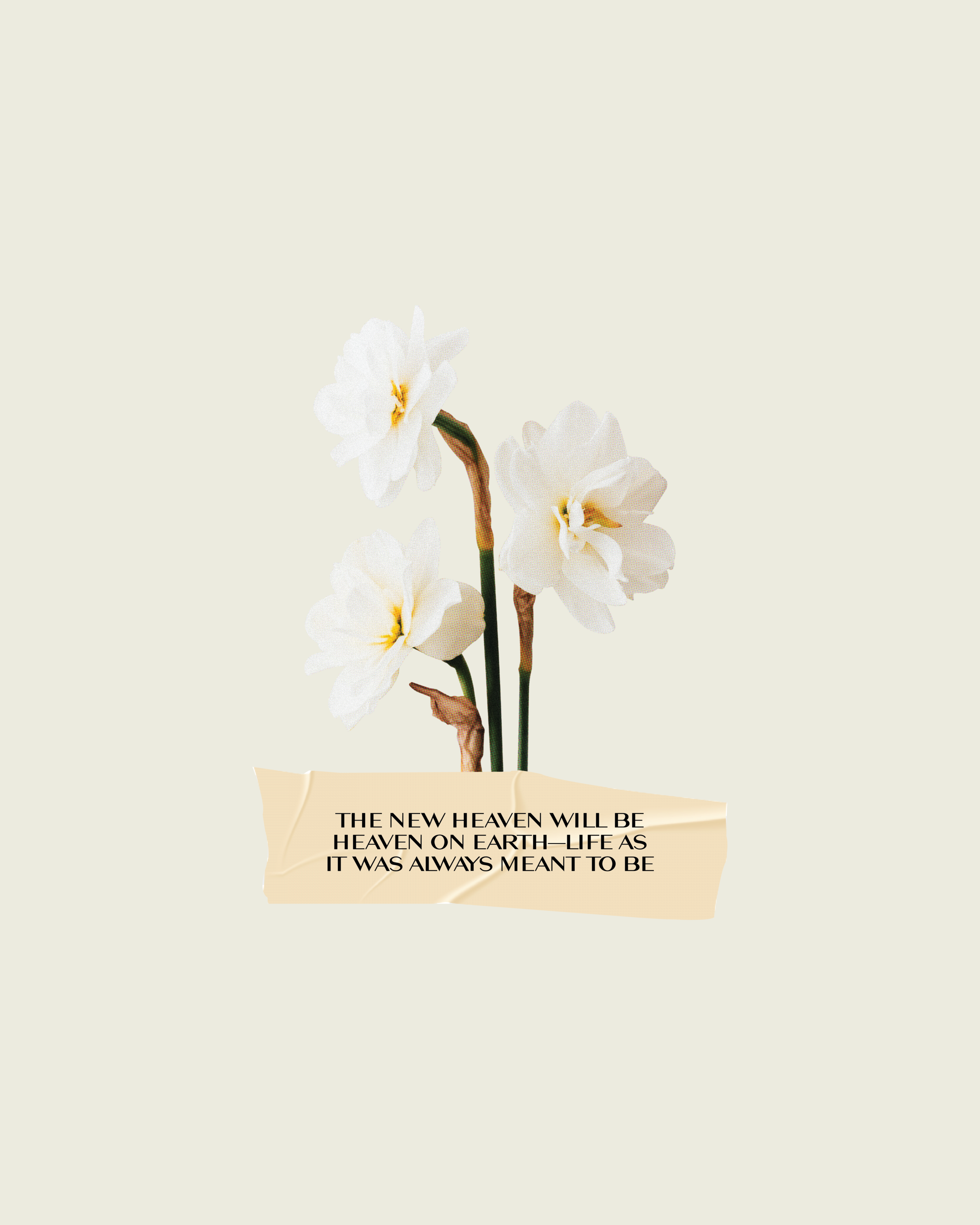 AID_Artwork_HiRes-14.png