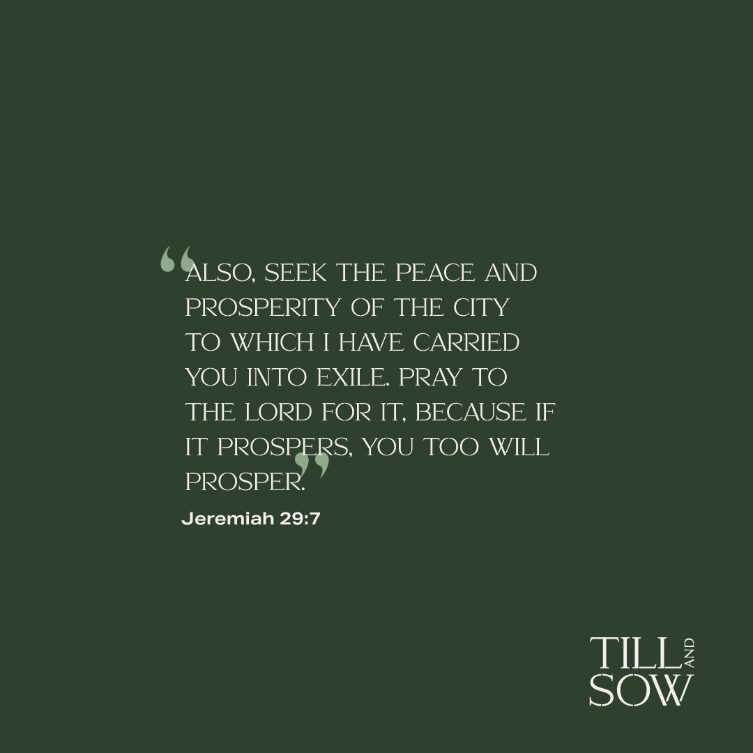 TillAndSow_SocMedTiles-4.jpg
