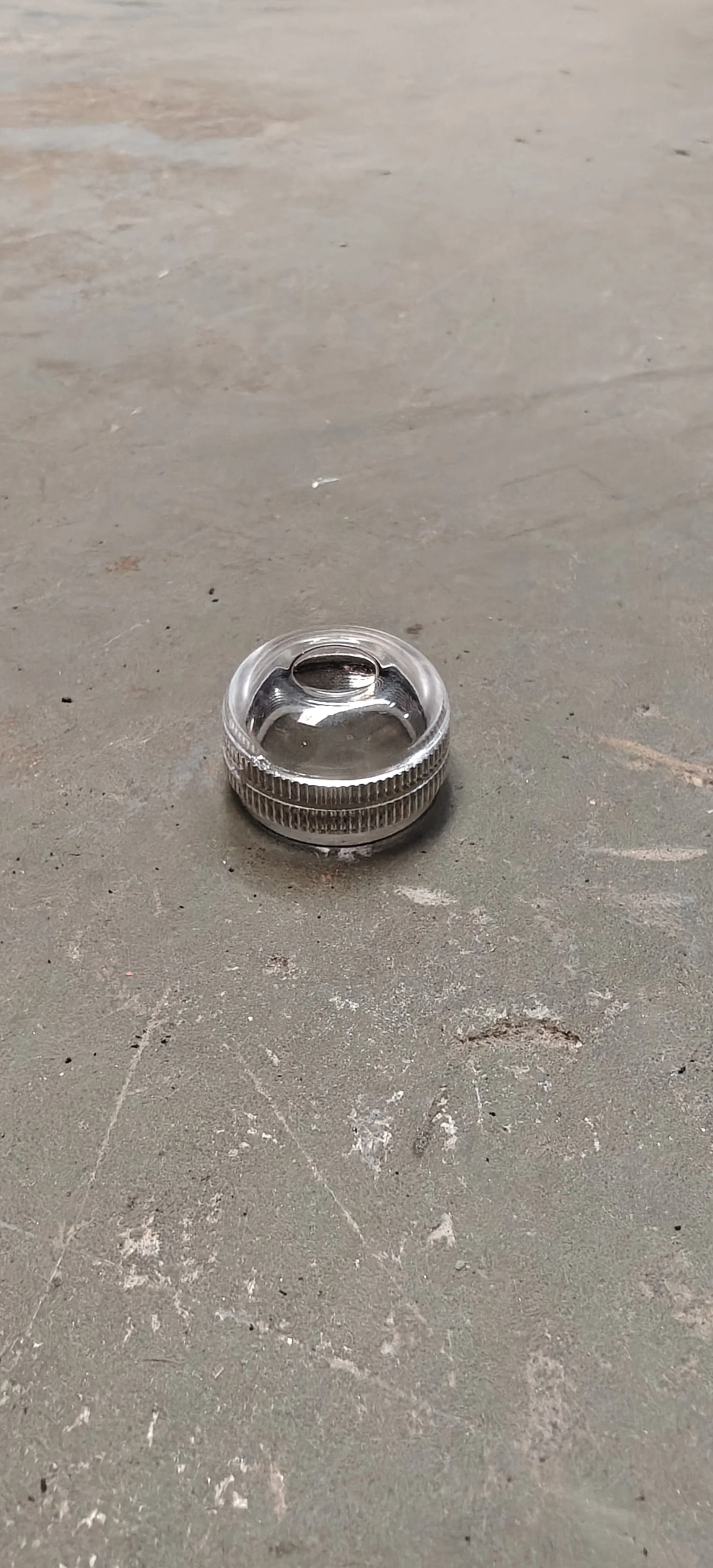 1000008460.jpg