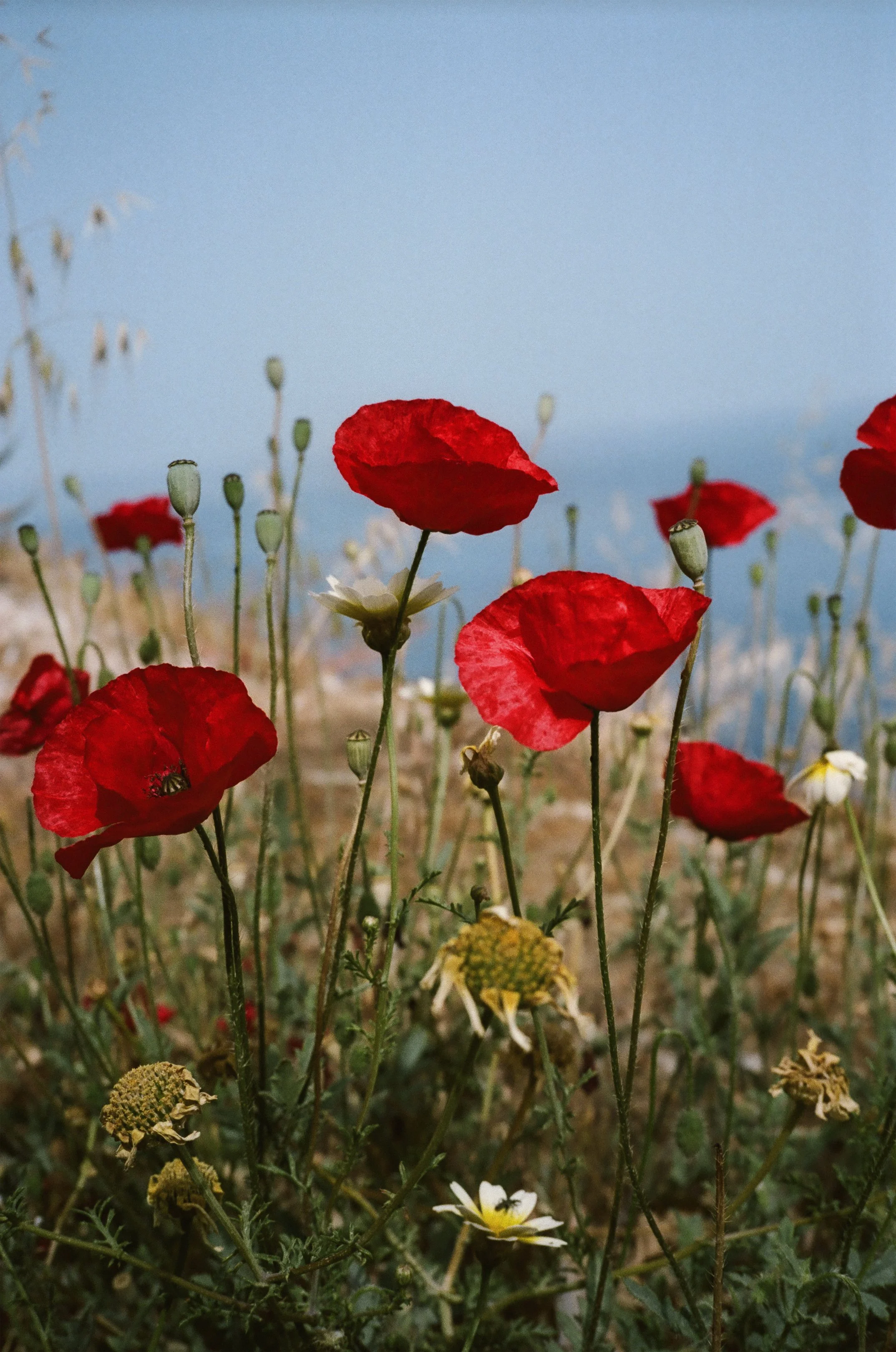 gen-kay-photography-greece-05.jpg