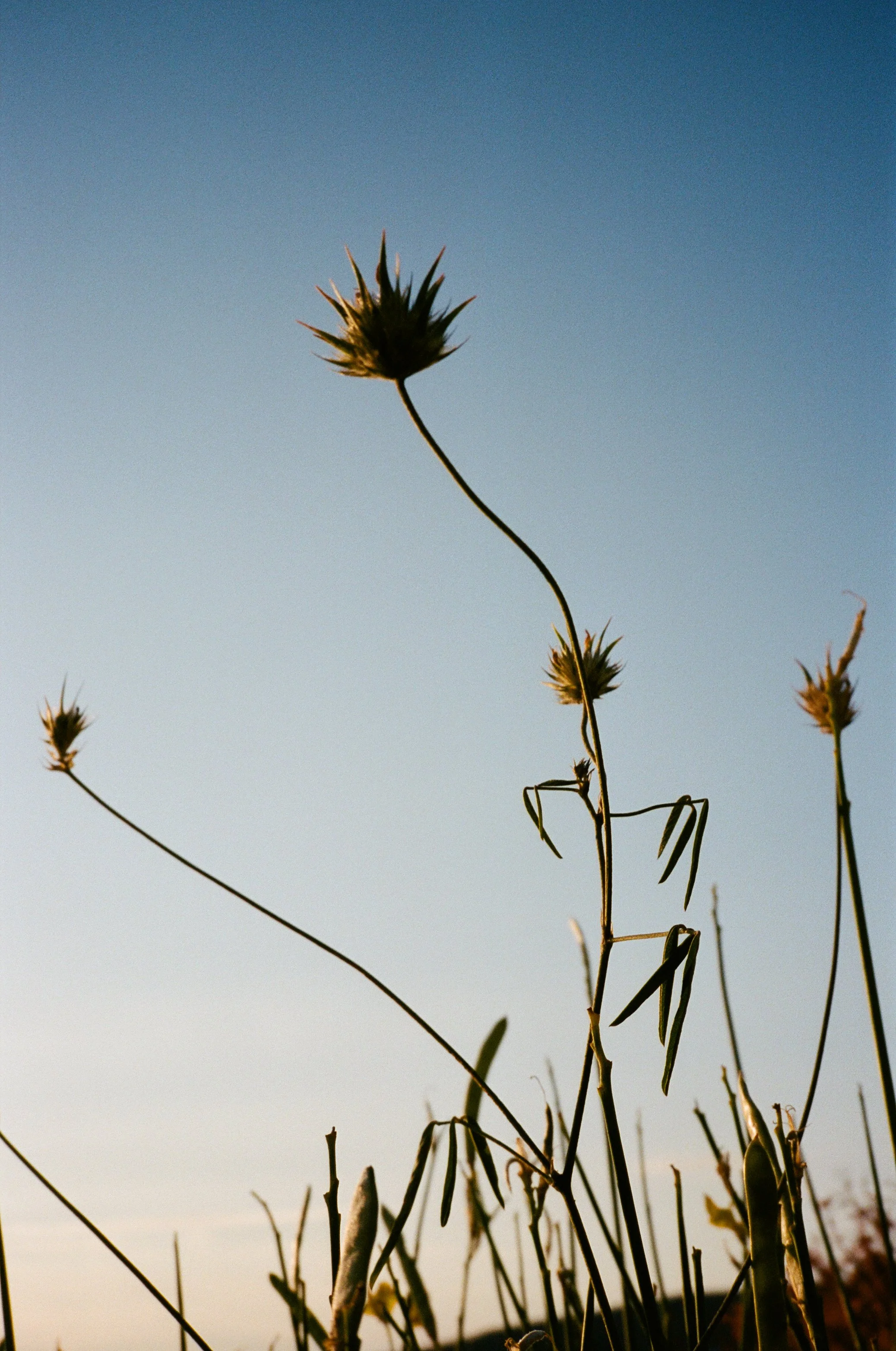 gen-kay-photography-greece-17.jpg