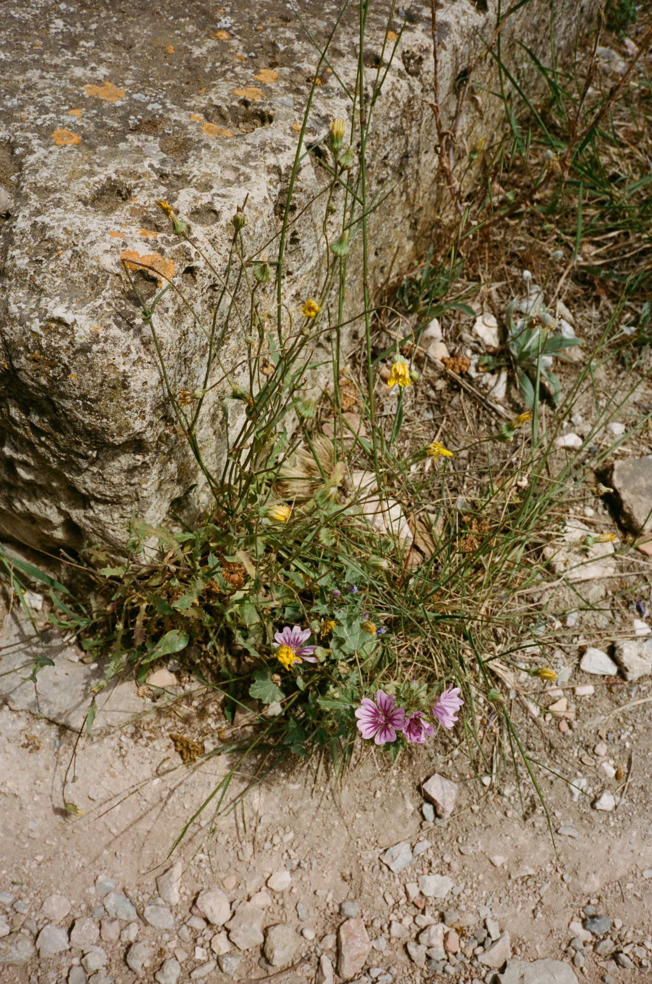 gen-kay-photography-greece-29.jpg