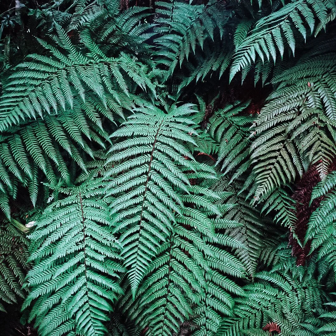 Reminder:
Don’t forget you gotta nourish to flourish πΏ
Essentials:
π Drink water
π Move your body
π Rest your mind 
π Learn to love YOU