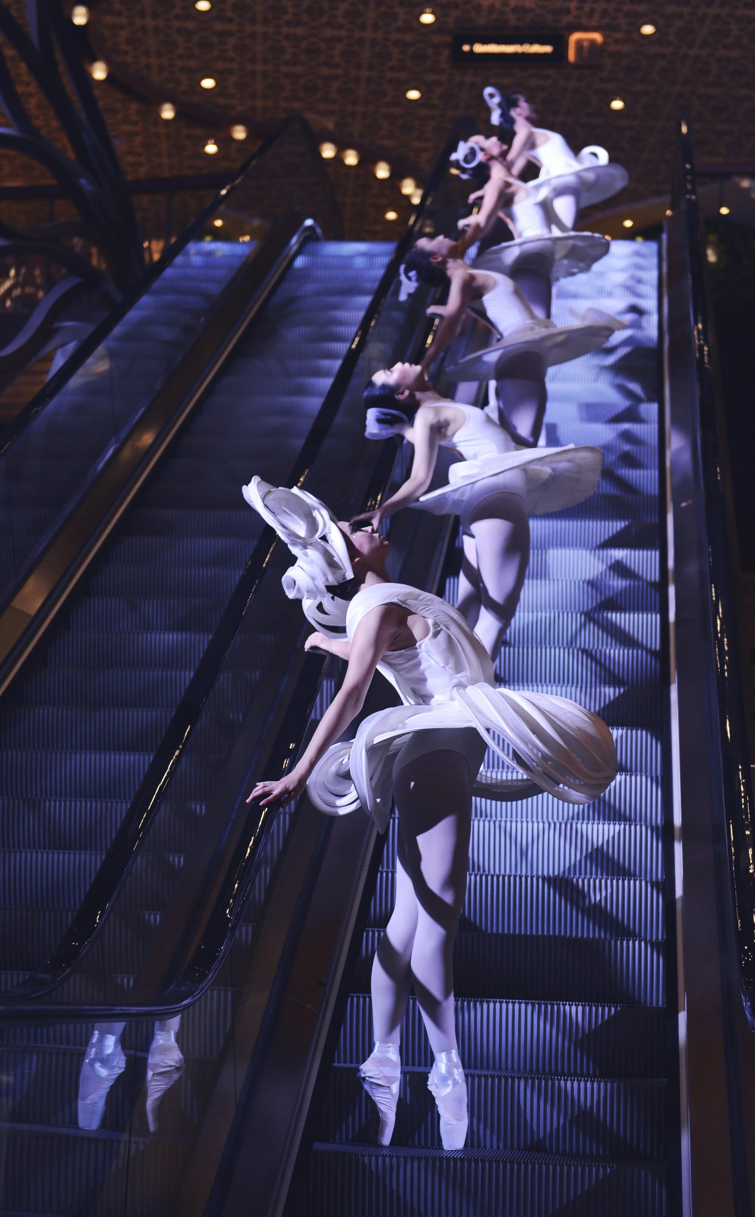 Copy of DSC_4508_01.jpg