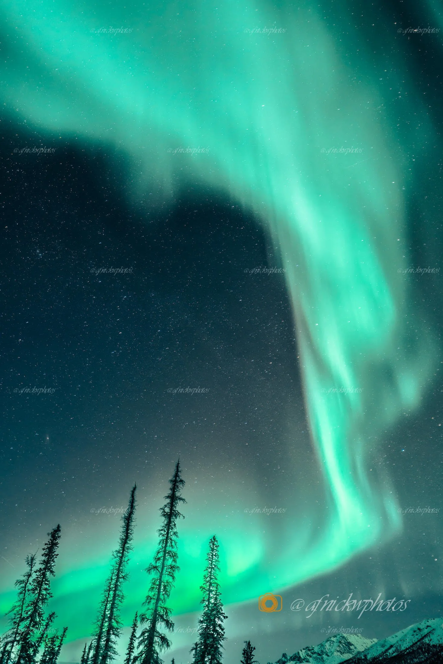 edited aurora-.jpg