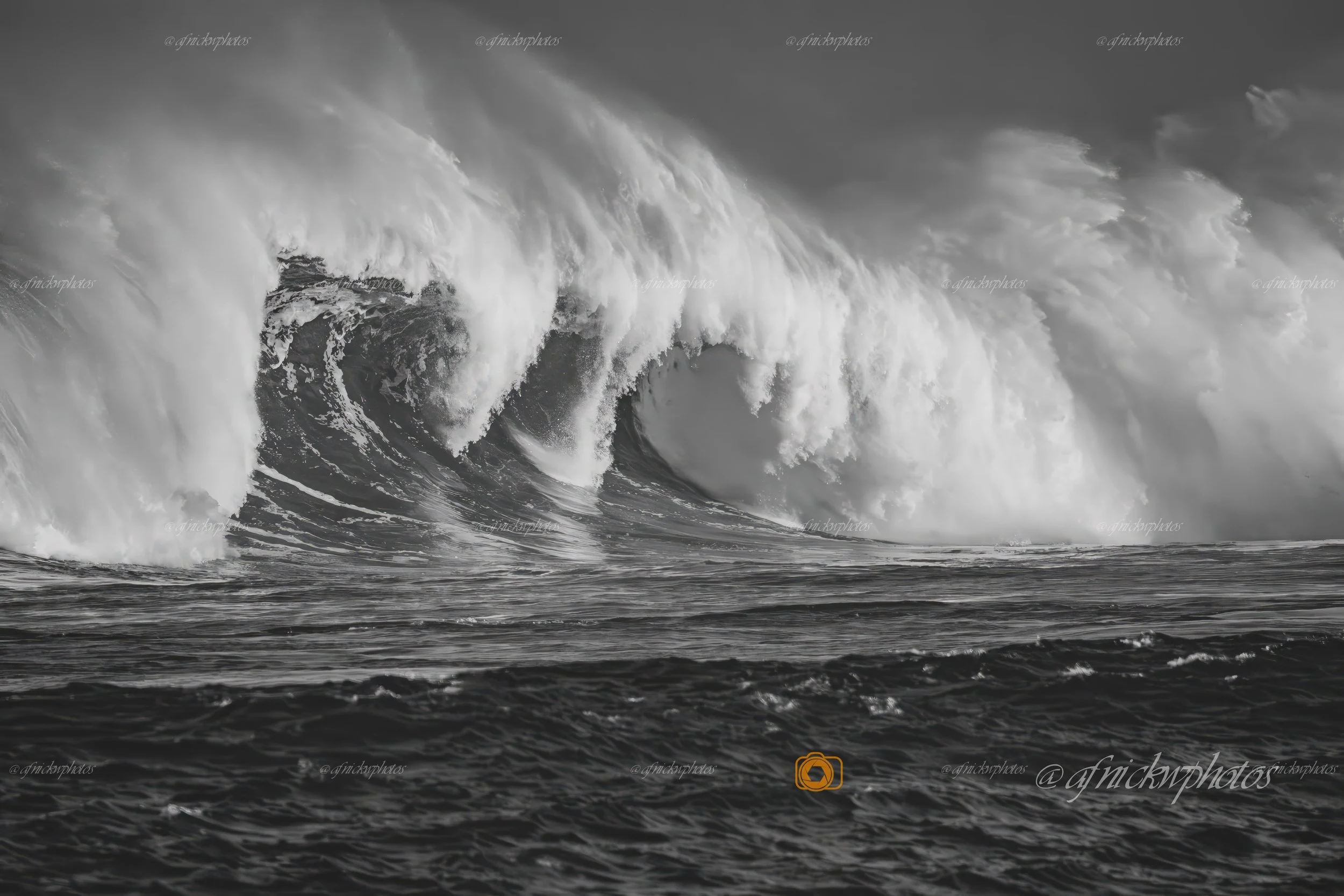 Edited Eddie wave 2.3-.jpg