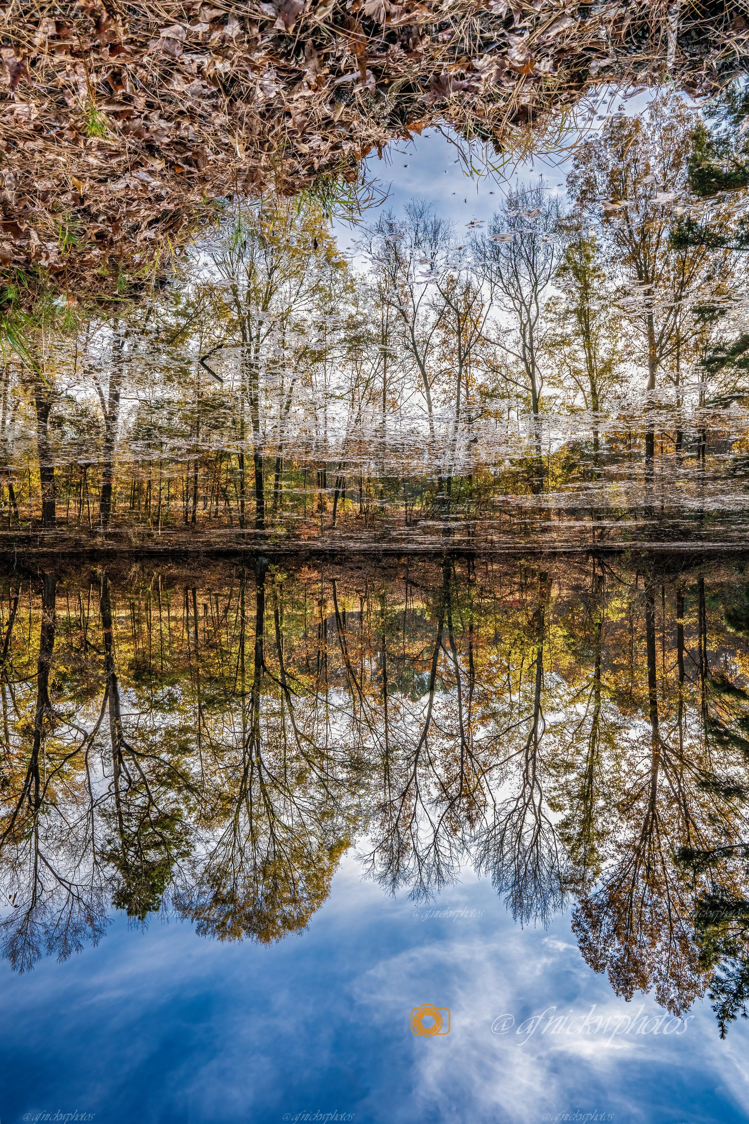 edited reflection-.jpg