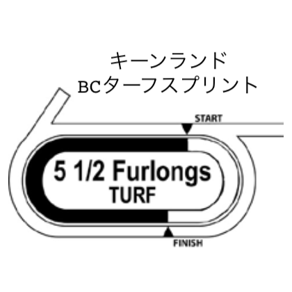 9 turf sprint.png
