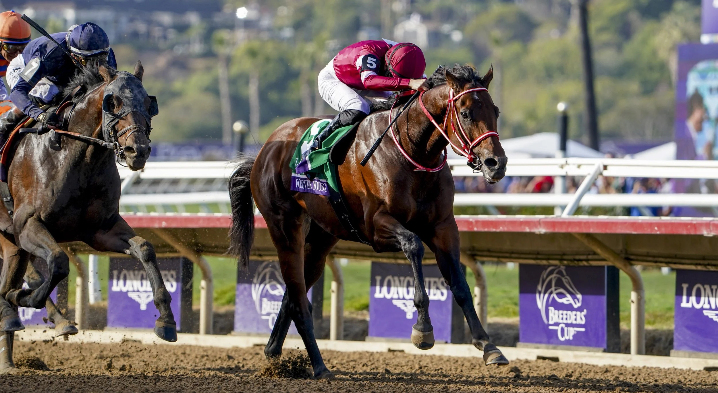 z20251101_shamelahanley_eclipsesportswire_24485.JPG