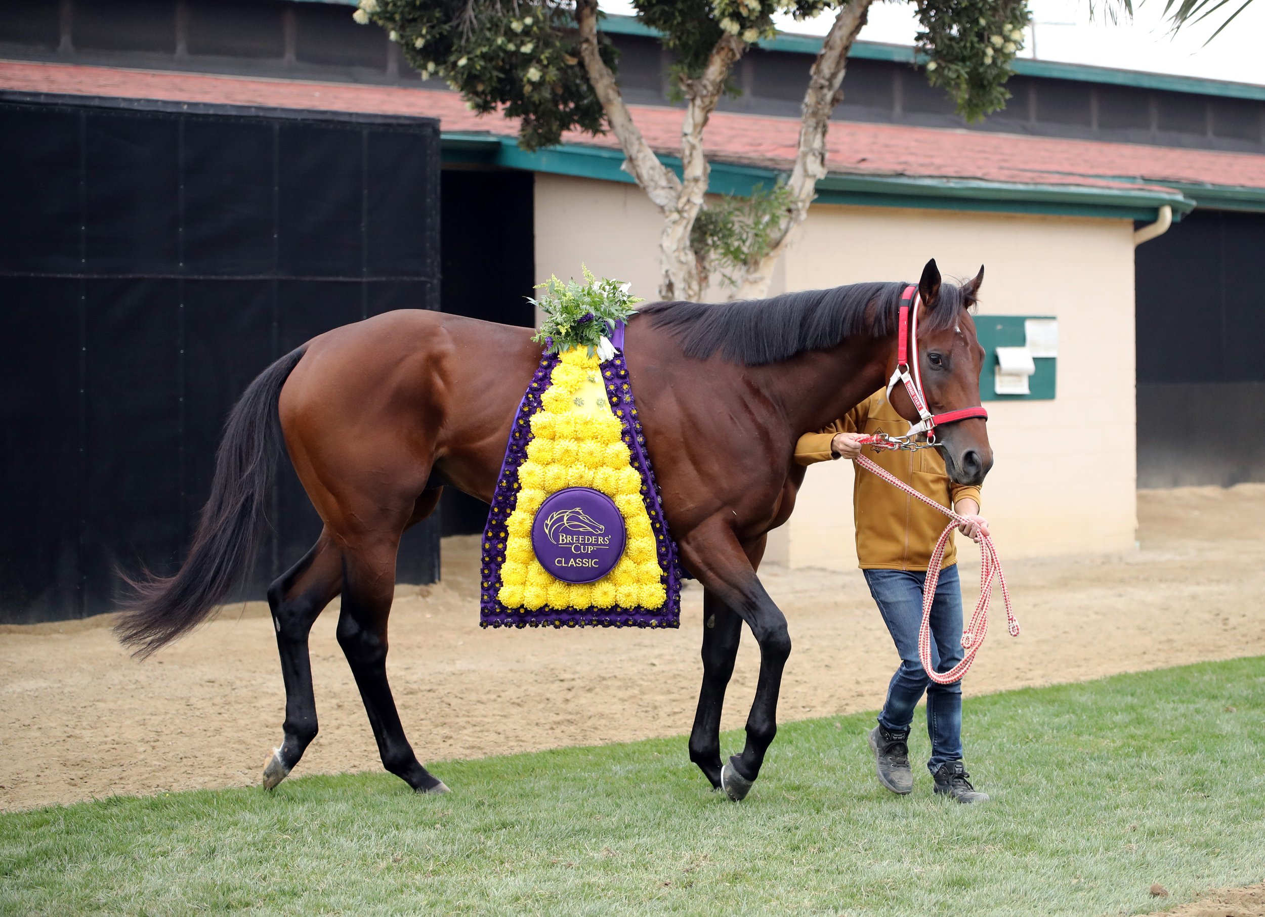 Forever Young Del Mar - 110225 - 011.jpg