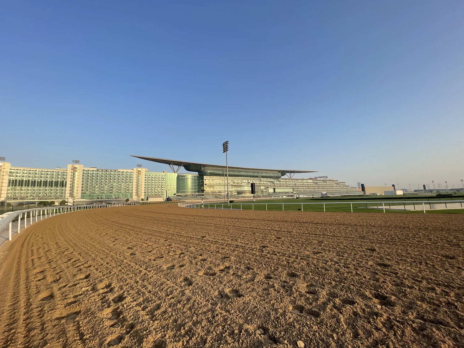 ドバイワールドカップ — (同) まるがいレーシング