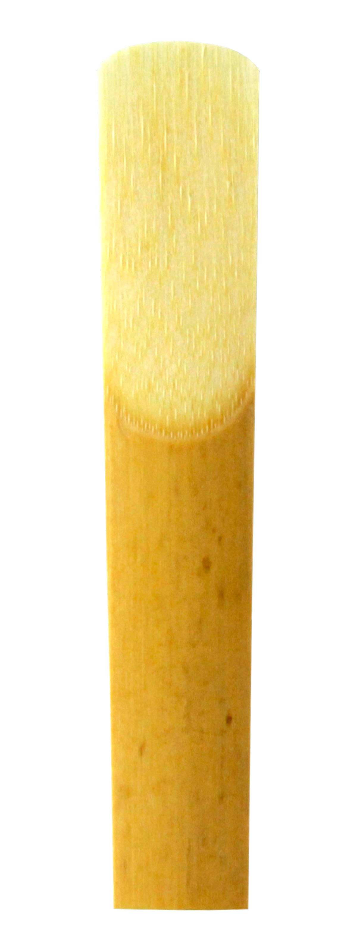 German Cut — Gonzalez Reeds