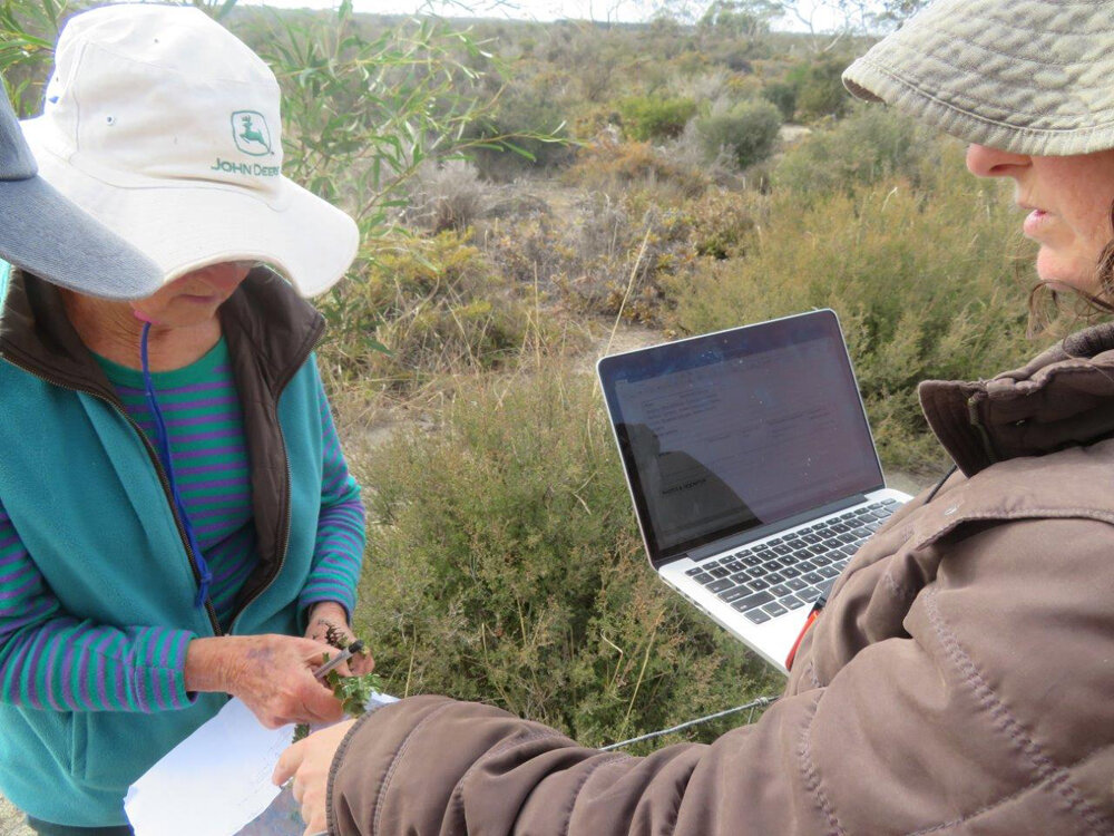 Landcare Tree Planting 2.jpg