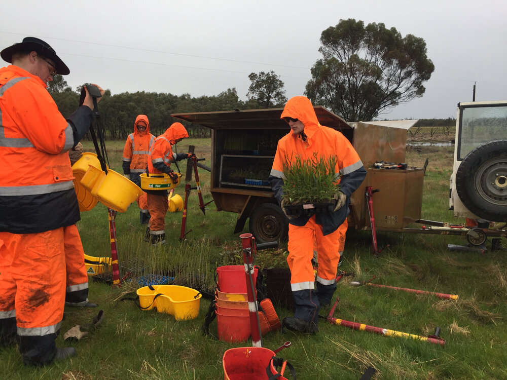 Landcare Tree Planting.jpg