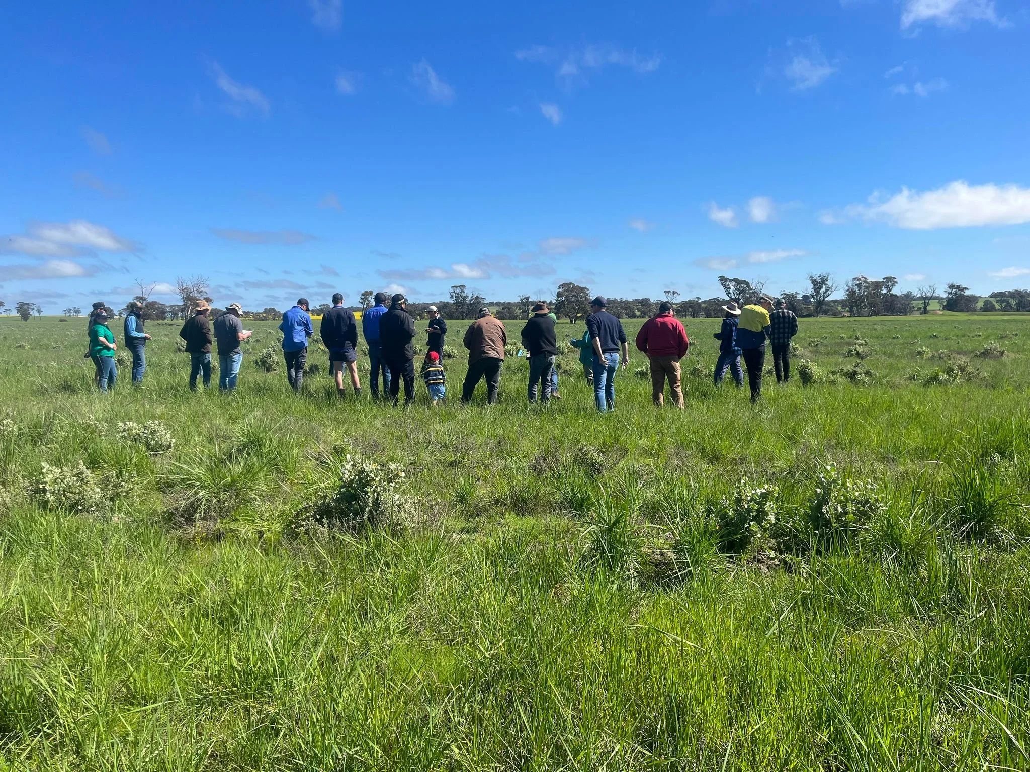 Gillamii Spring Field Day 2025