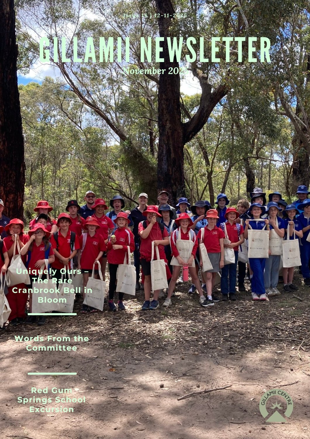 Gillamii Newsletter: November 2025 Edition