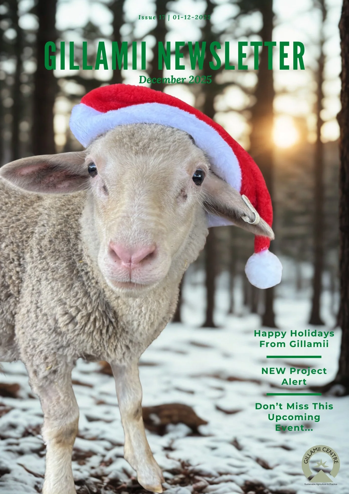 Gillamii Newsletter: December 2025 Edition