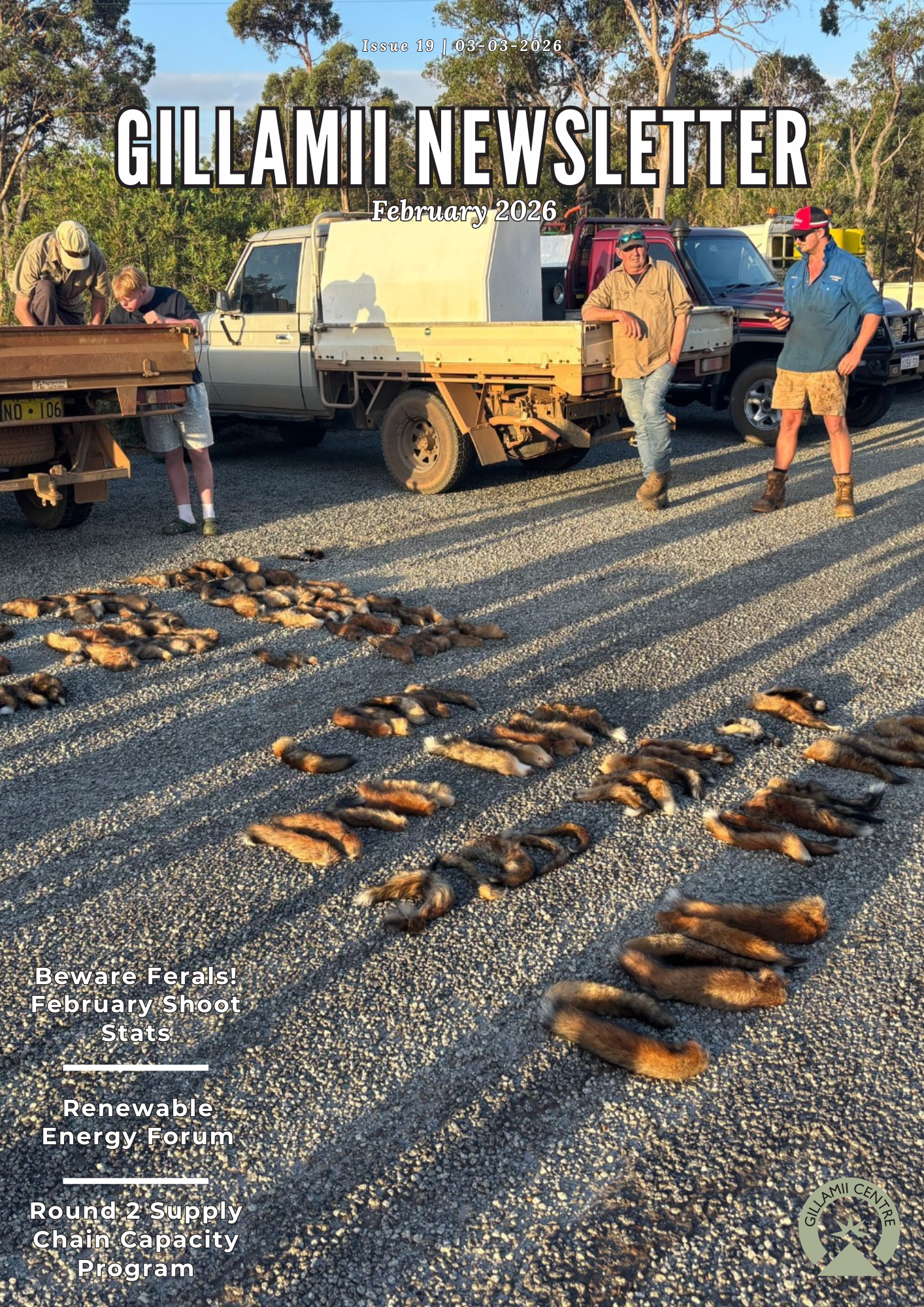 Gillamii Newsletter: February 2026 Edition