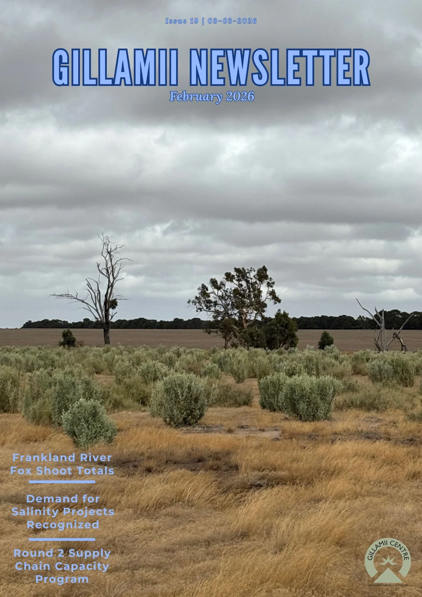 Gillamii Newsletter: March 2026 Edition