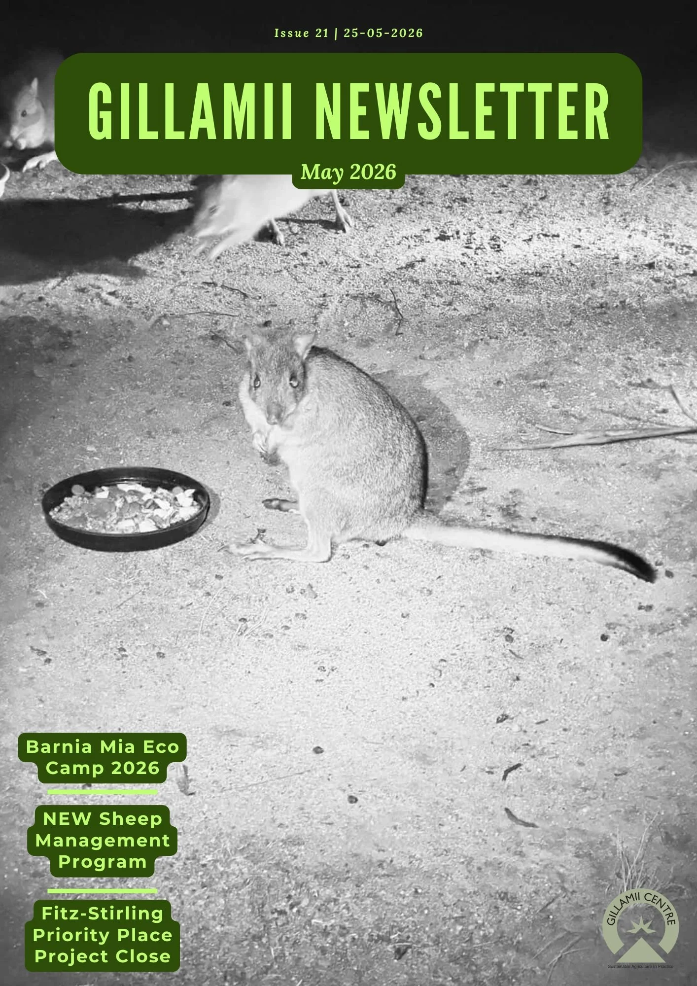 Gillamii Newsletter: May 2026 Edition