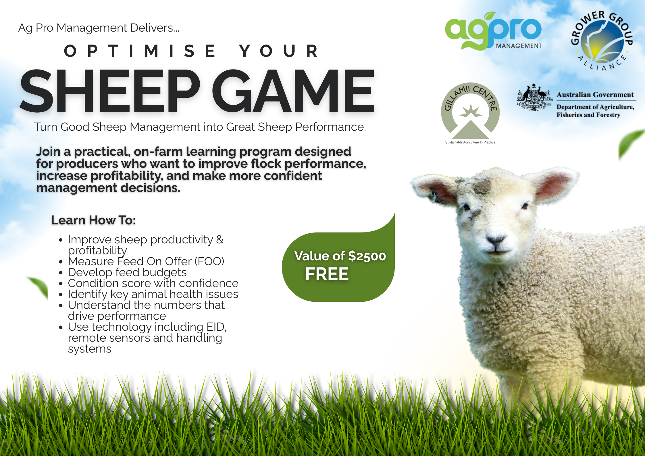 Ag Pro Management Presents: Optimise Your Sheep Game