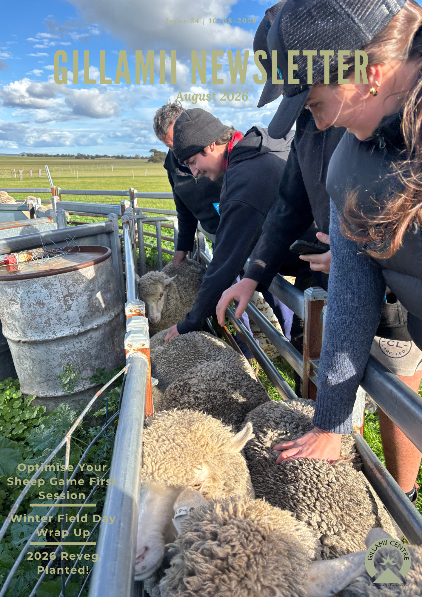 Gillamii Newsletter: August 2026 Edition