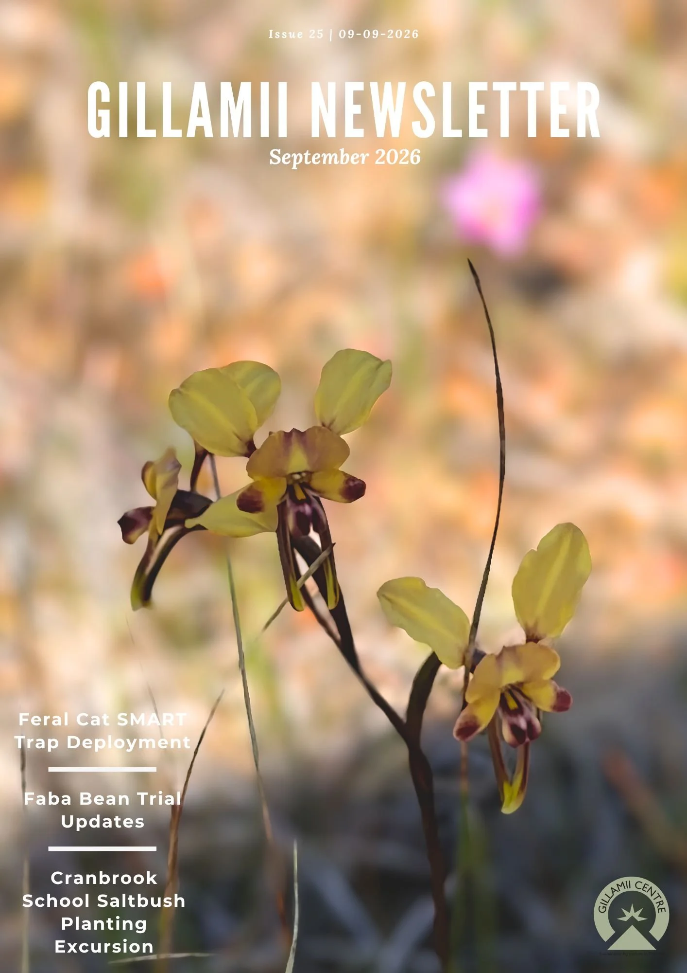 Gillamii Newsletter: September 2026 Edition 