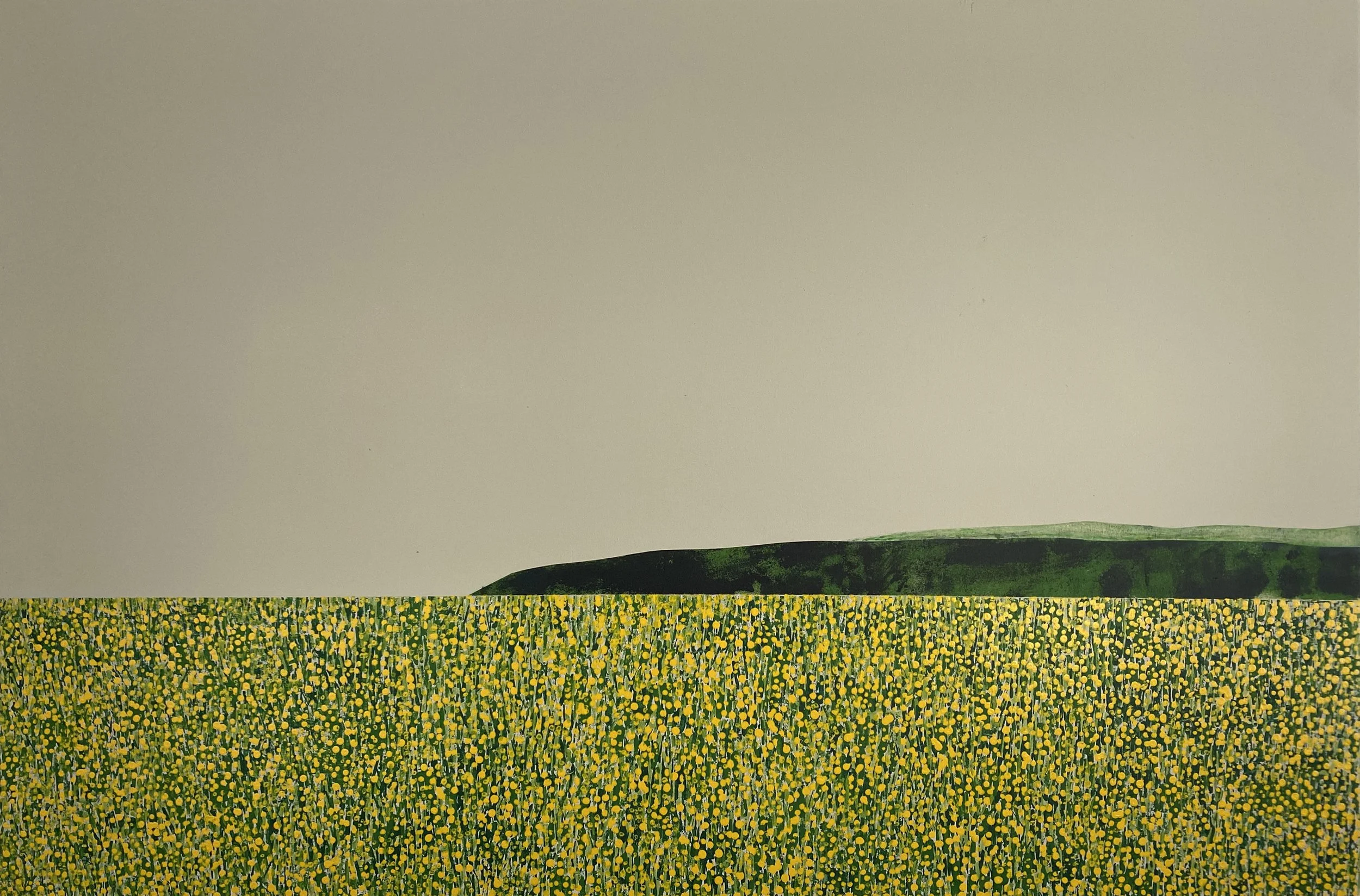 Field Crop.jpg