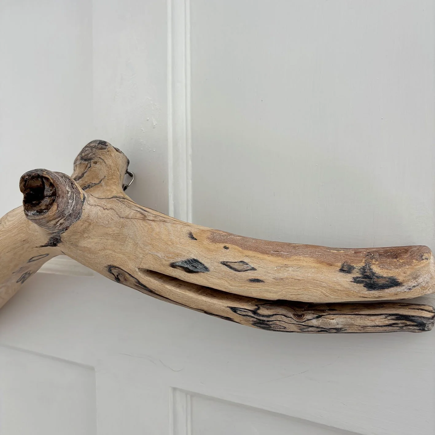 Detail 2.jpg