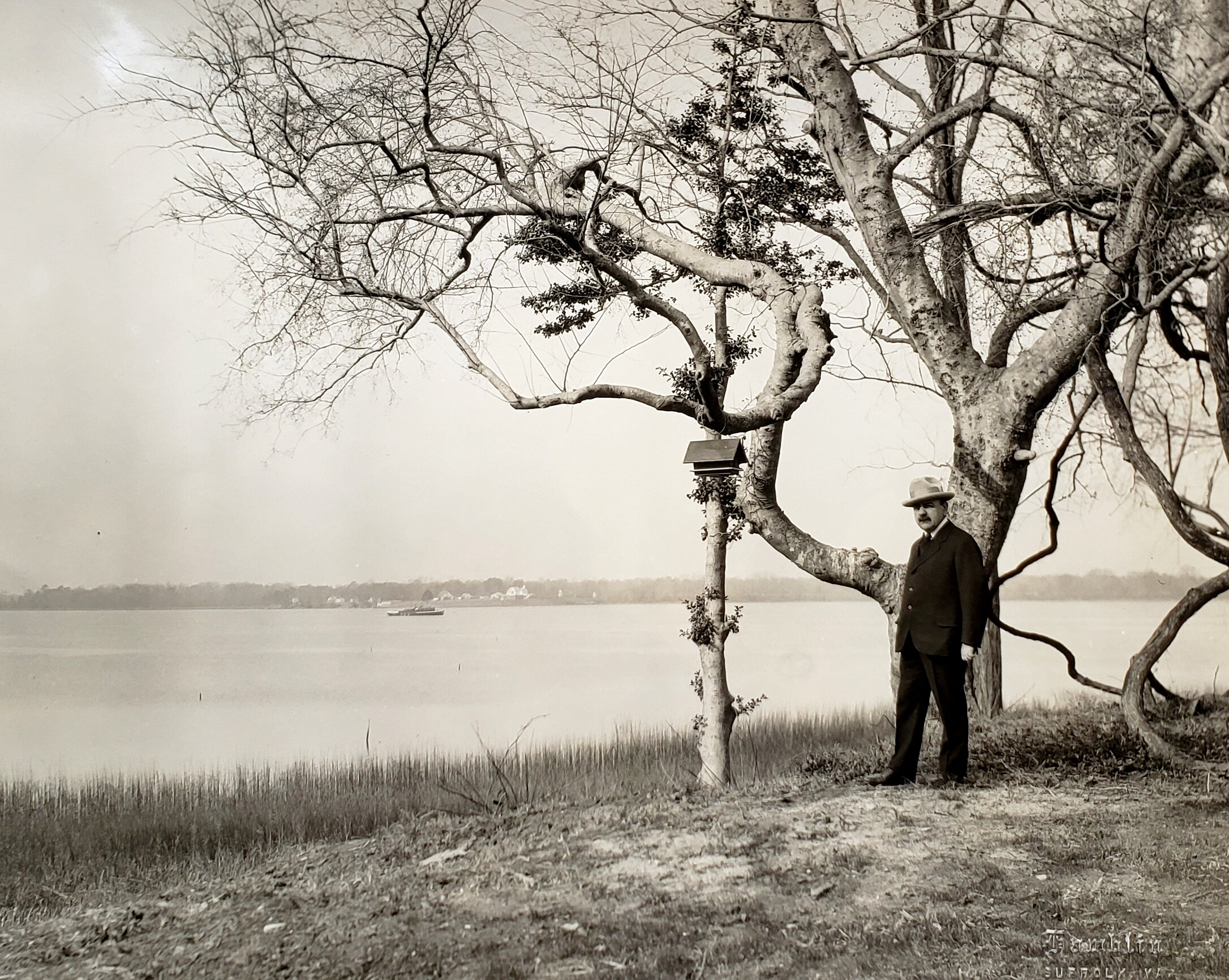 Amedeo at Nansemond River Bank