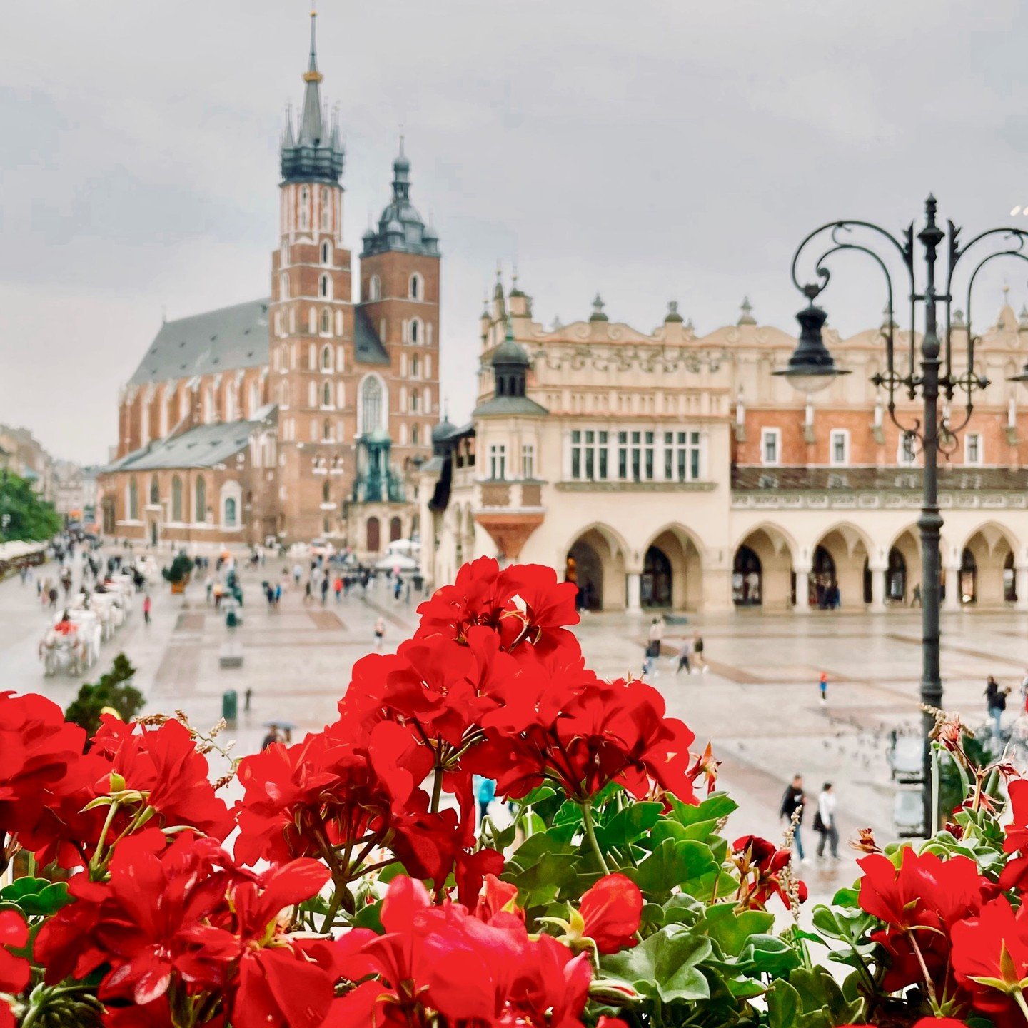Har du n&aring;gonsin upplevt Krakow under h&ouml;sten? 🍁🏰 H&ouml;stens ankomst i Krakow &auml;r som en explosion av f&auml;rger, kultur, musik och konst, som f&ouml;rvandlar staden till en pulserande oas av upplevelser.

T&auml;nk p&aring; de soli