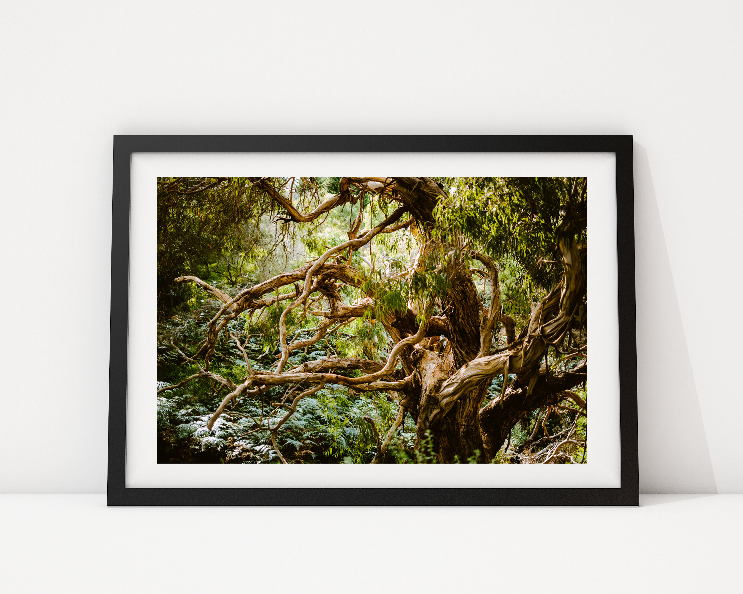 Fairy Tree - black.jpg
