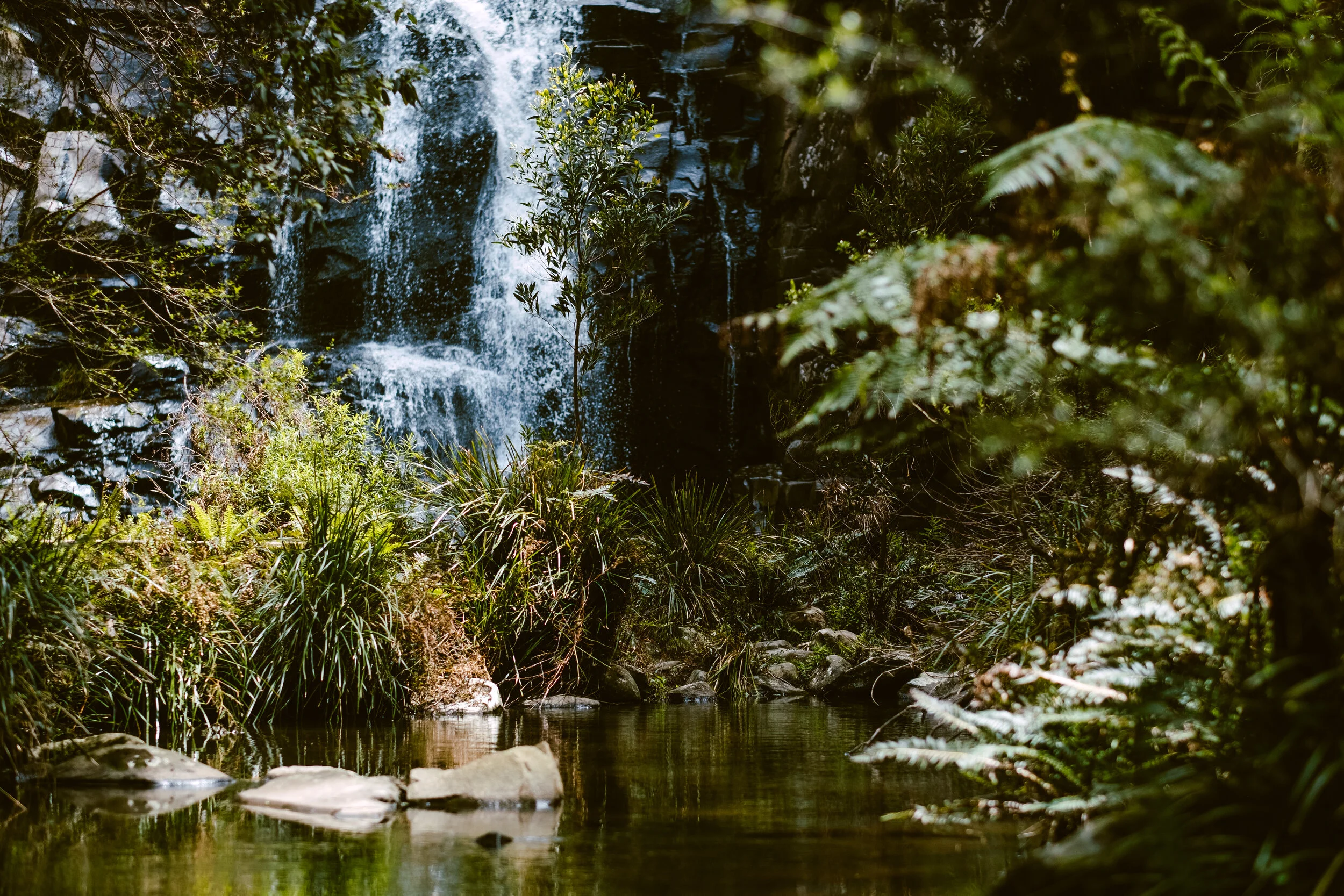 Sheoak Falls | Lorne