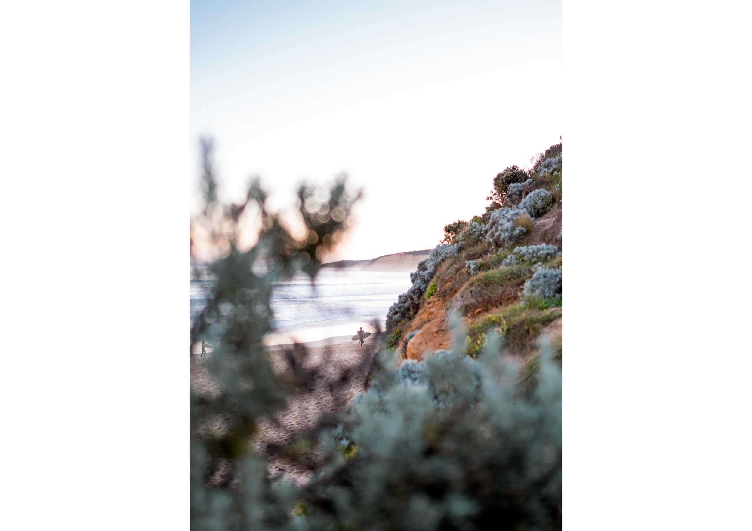 Untitled-1.jpg