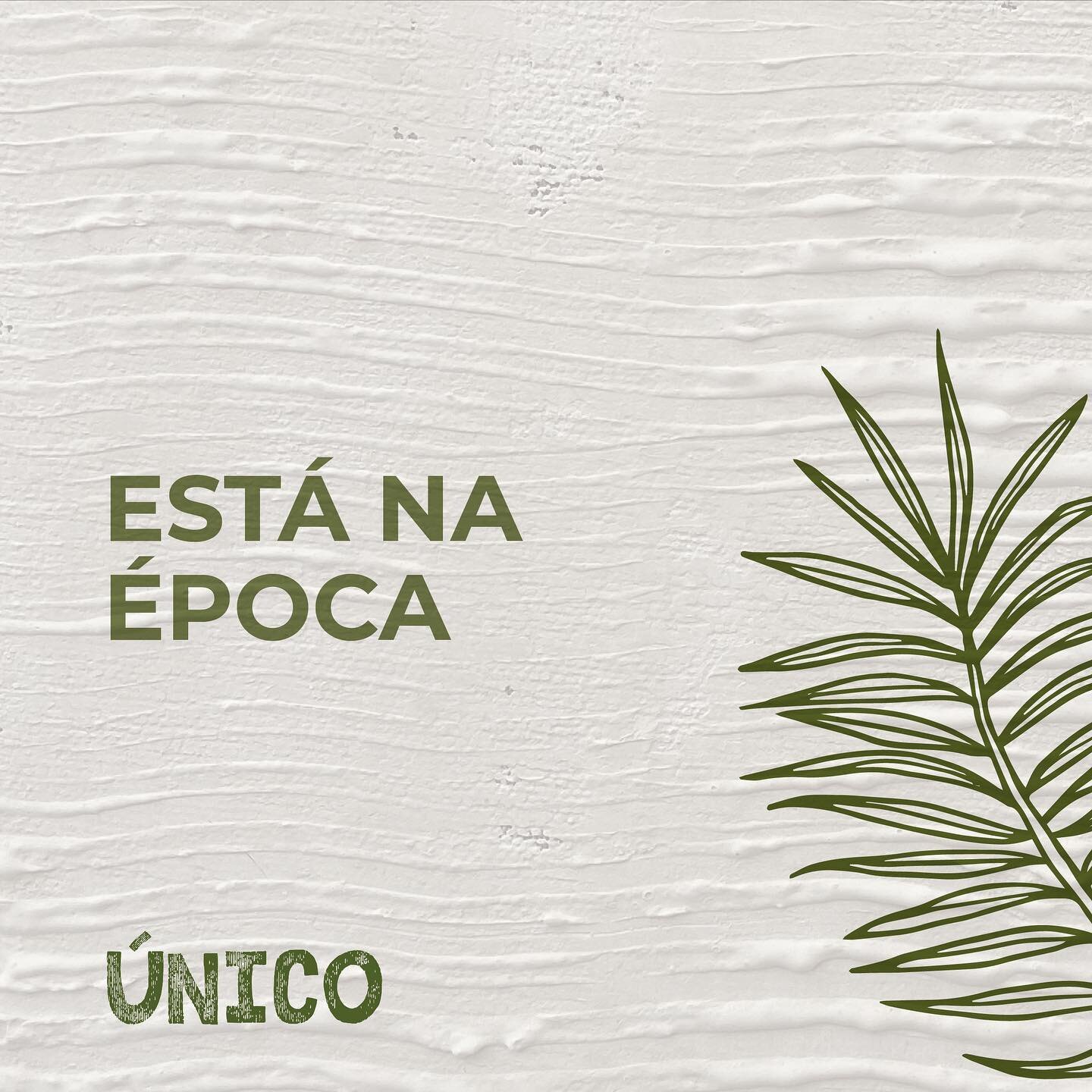 Os ingredientes da &eacute;poca s&atilde;o os mais frescos, saborosos, nutritivos e a melhor escolha para a nossa alimenta&ccedil;&atilde;o.
 
Guarde esta lista e siga as nossas dicas:
&bull; Opte pela produ&ccedil;&atilde;o hort&iacute;cola biol&oac