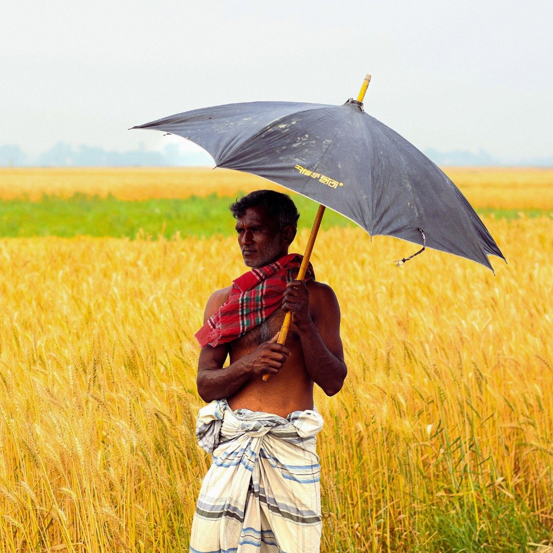 Os &quot;gramer lok&quot;, os homens do campo no Bangladesh, s&atilde;o essenciais para a economia agr&iacute;cola, apesar dos desafios das mon&ccedil;&otilde;es. Vivem modestamente, valorizam a entreajuda comunit&aacute;ria e utilizam o *lungi* (uma