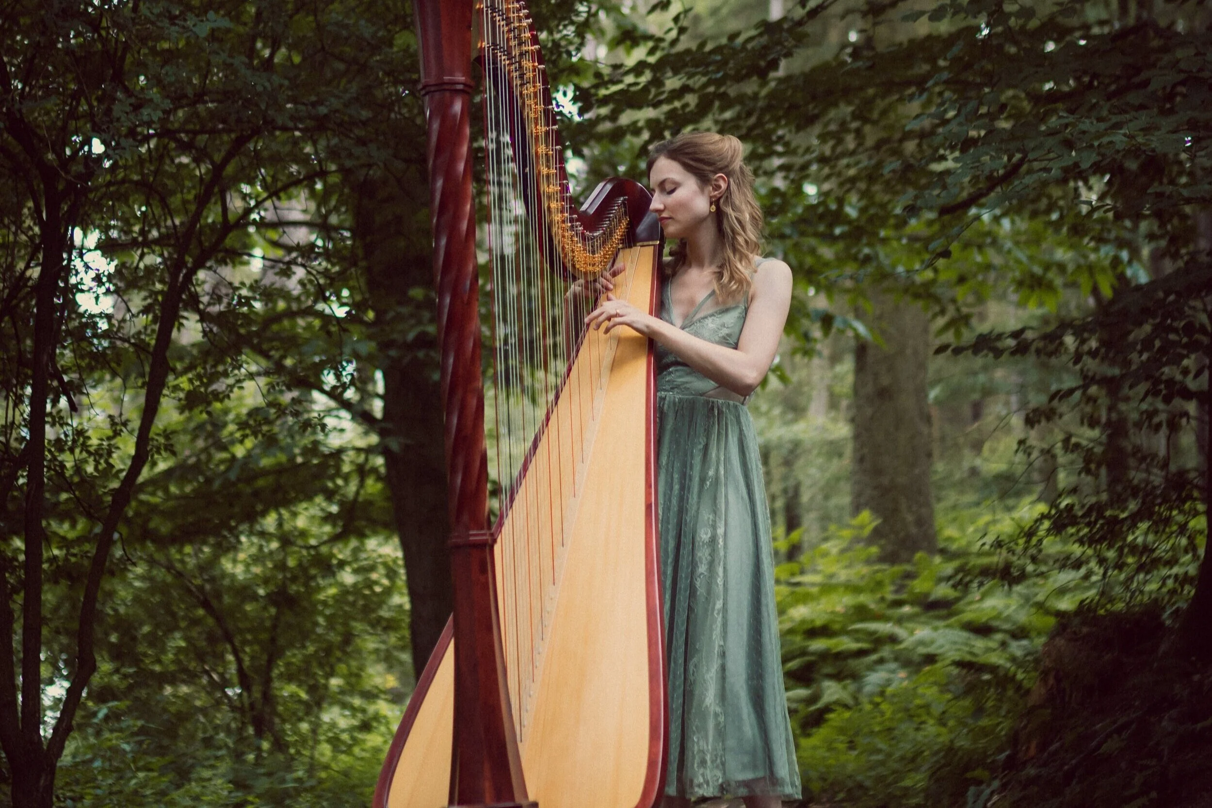 Solo Recital