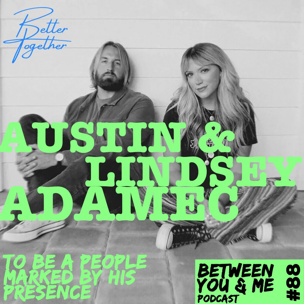 IF YOU LOVED THIS WE RECOMMEND...