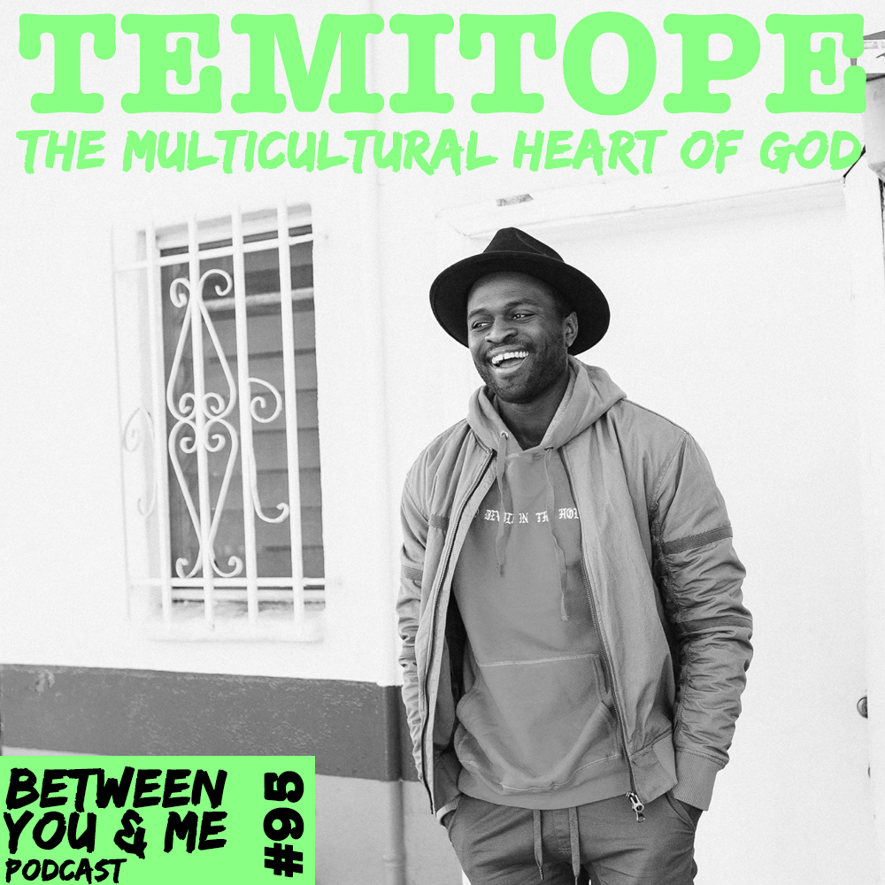 IF YOU LOVED THIS WE RECOMMEND...