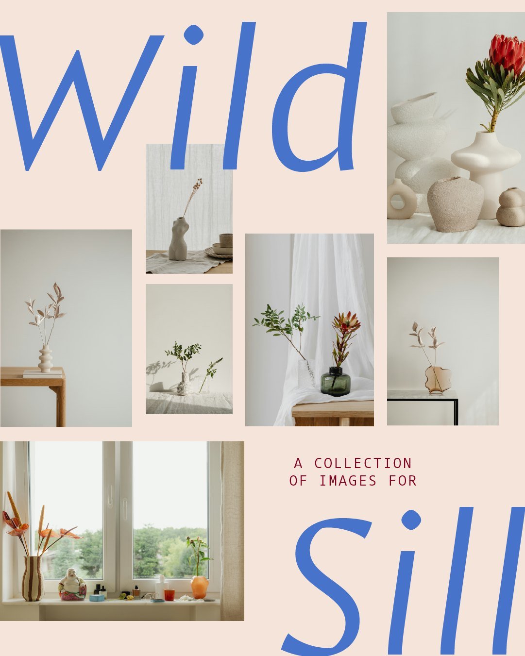 Working on a new brand: Wild Sills! It's essentially growing plants in small vessels on your window sill. Herbs, flowers or something purely decorative. Whatever fits your lifestyle.

The colors are inspired by The Little Gardener by Emily Hughes. I 