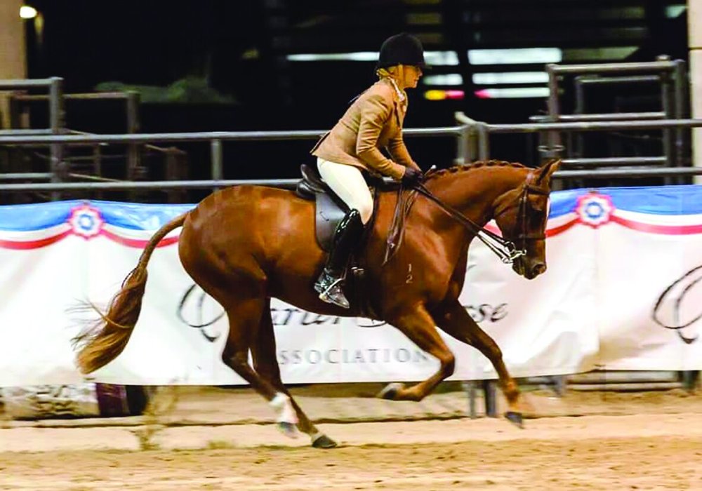 Gallery 3 — Texas Star Performance Horses