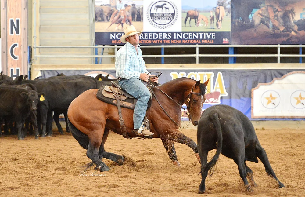 Gallery 3 — Texas Star Performance Horses