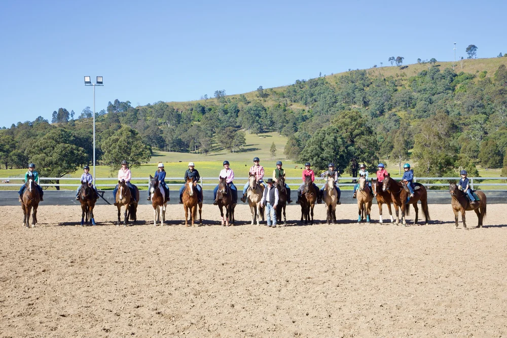 Texas Star Performance Horses