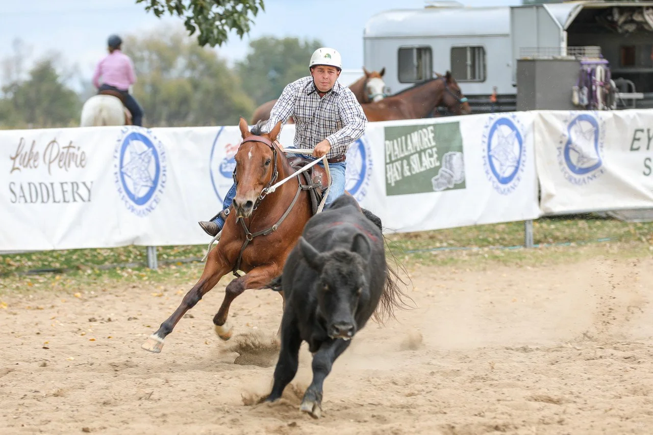 Texas Star Performance Horses