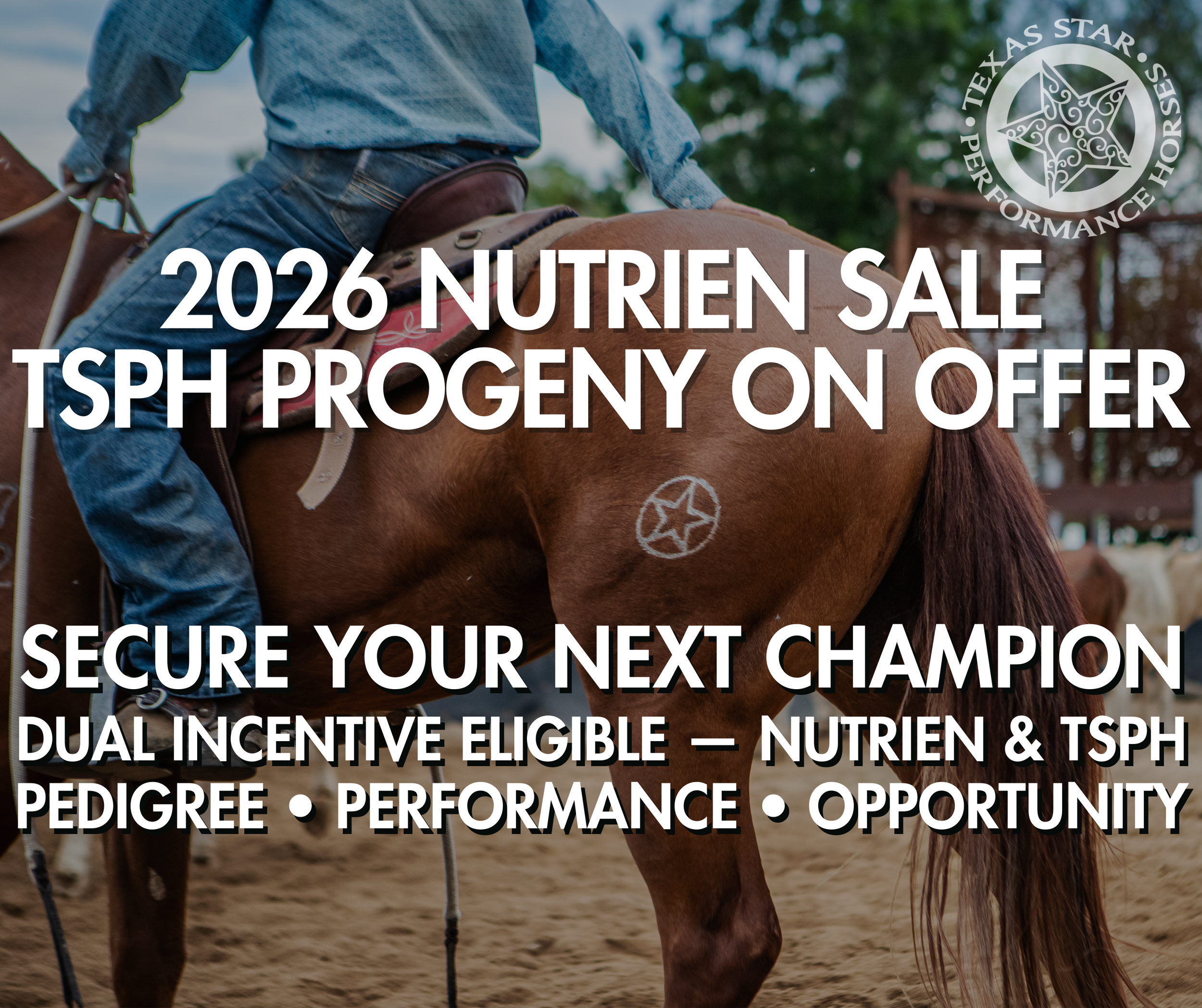 A person riding a horse in an outdoor arena with trees, promoting a 2026 nutrient sale and progeny on offer for performance horses, featuring a Texas star logo.