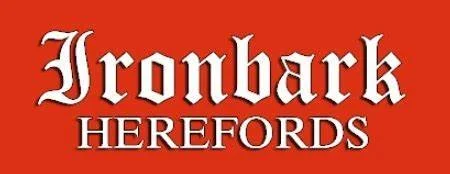 Ironbark Herefords - Cattle Donor.jpg