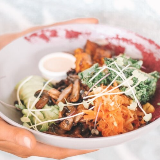NOURISHING THE NEW YOU
