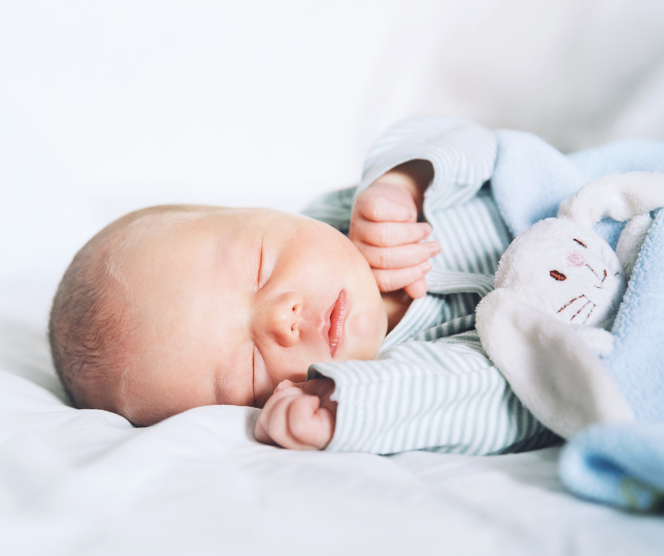 Daylight Savings Guide