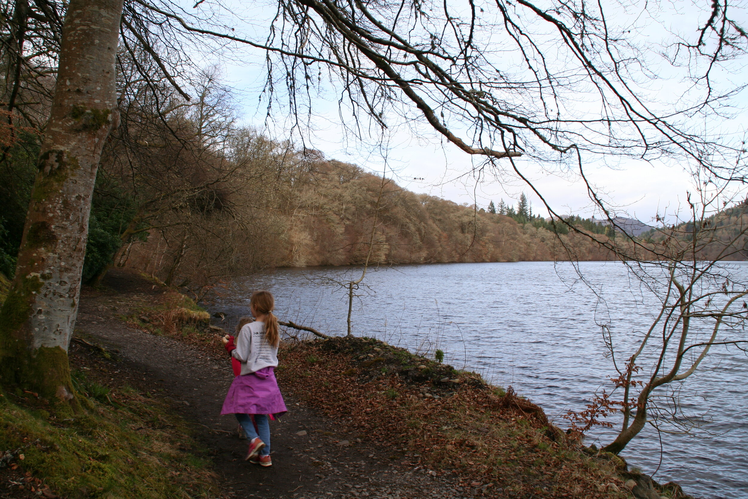 Walking around Faskally Loch.JPG