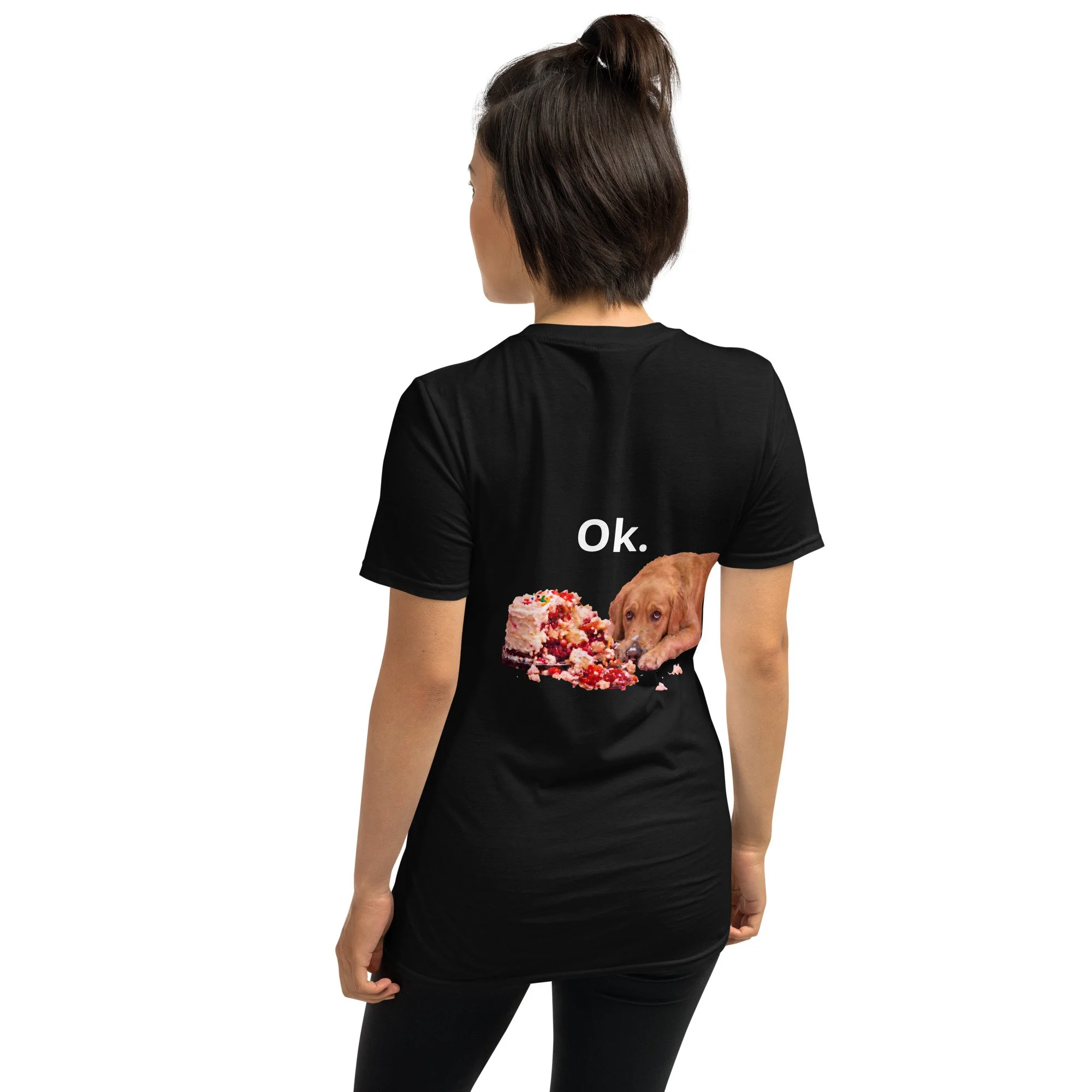 unisex-basic-softstyle-t-shirt-black-back-6a65764a7e01e.jpg